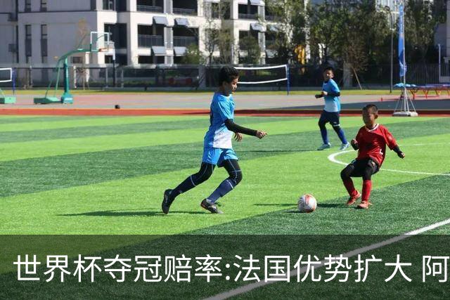 世界杯夺冠赔率:法国优势扩大 阿根廷西班牙紧追