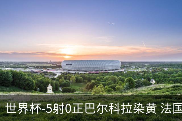 世界杯-5射0正巴尔科拉染黄 法国队半场暂0-0巴拉圭