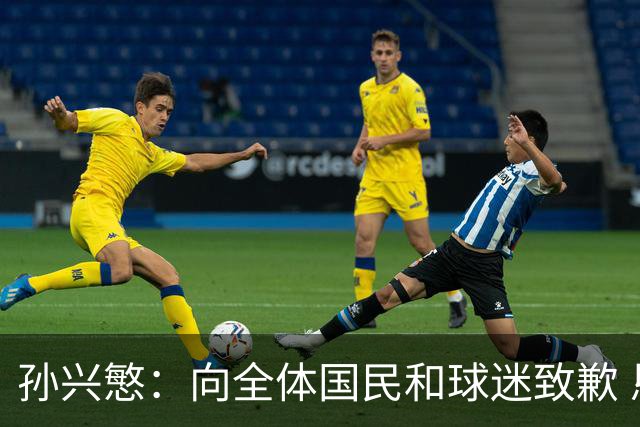 孙兴慜：向全体国民和球迷致歉 恳请少些过度批评伤害